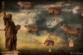 The Hippo Tour of the Lady