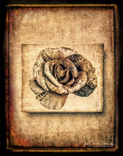 A Riveted Metal Rose