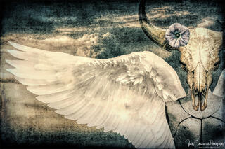 Georgia O'Keeffe's Angel