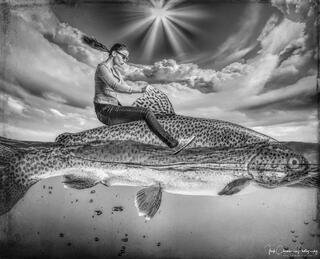 Riding a bucking trout
