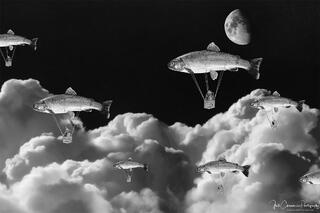 Fishing the Troutisphere
