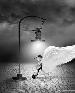 The Bird Stop is well lighted