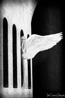A Protestant Angel