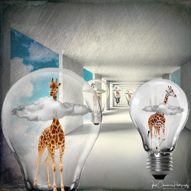 One Hundred and Fifty Watt Giraffes print
